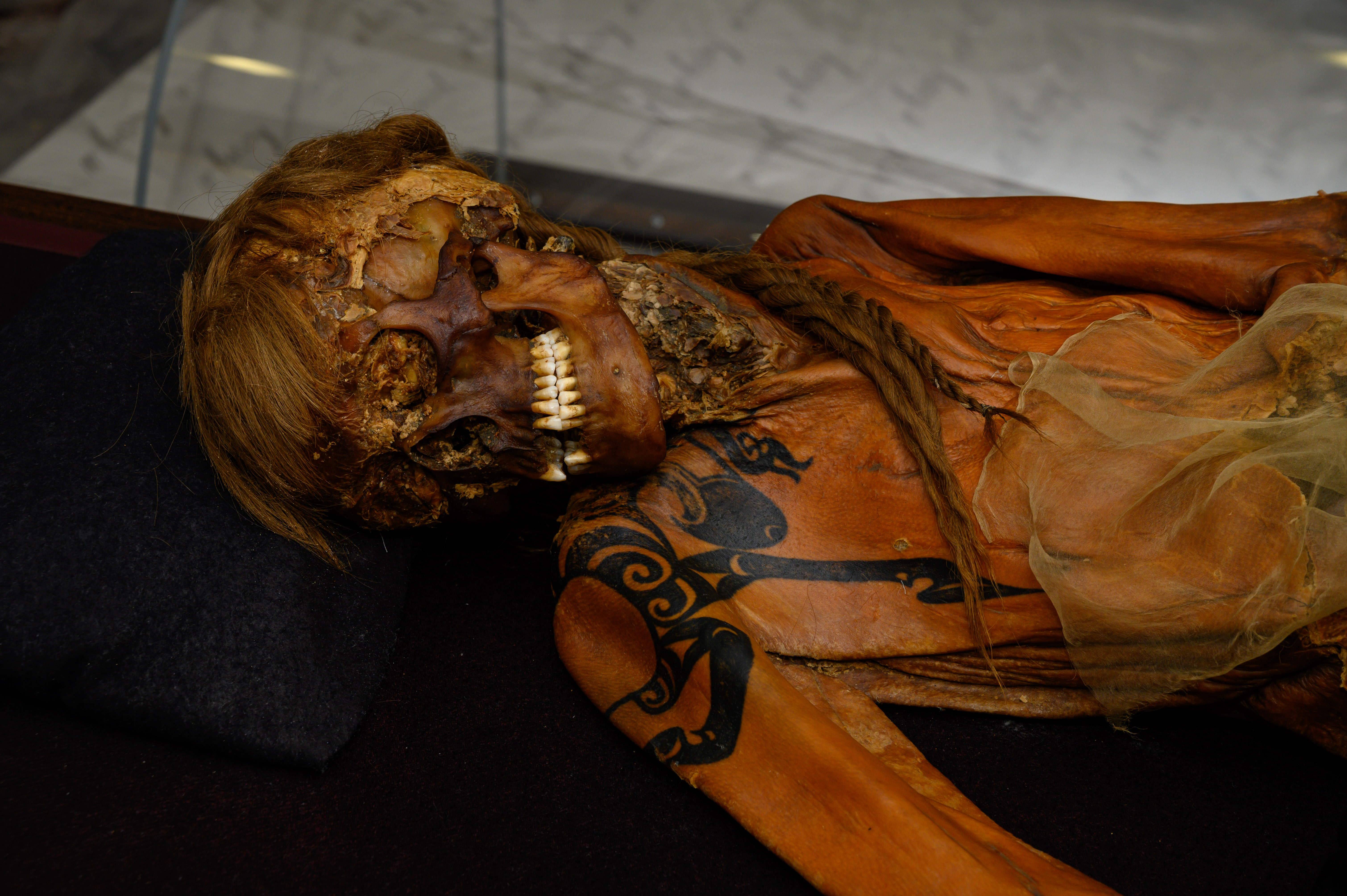 Oberkörper einer männlichen Mumie, den Kopf auf die Seite gedreht. An der Schulter sind schwarze Tätowierungen sichtbar