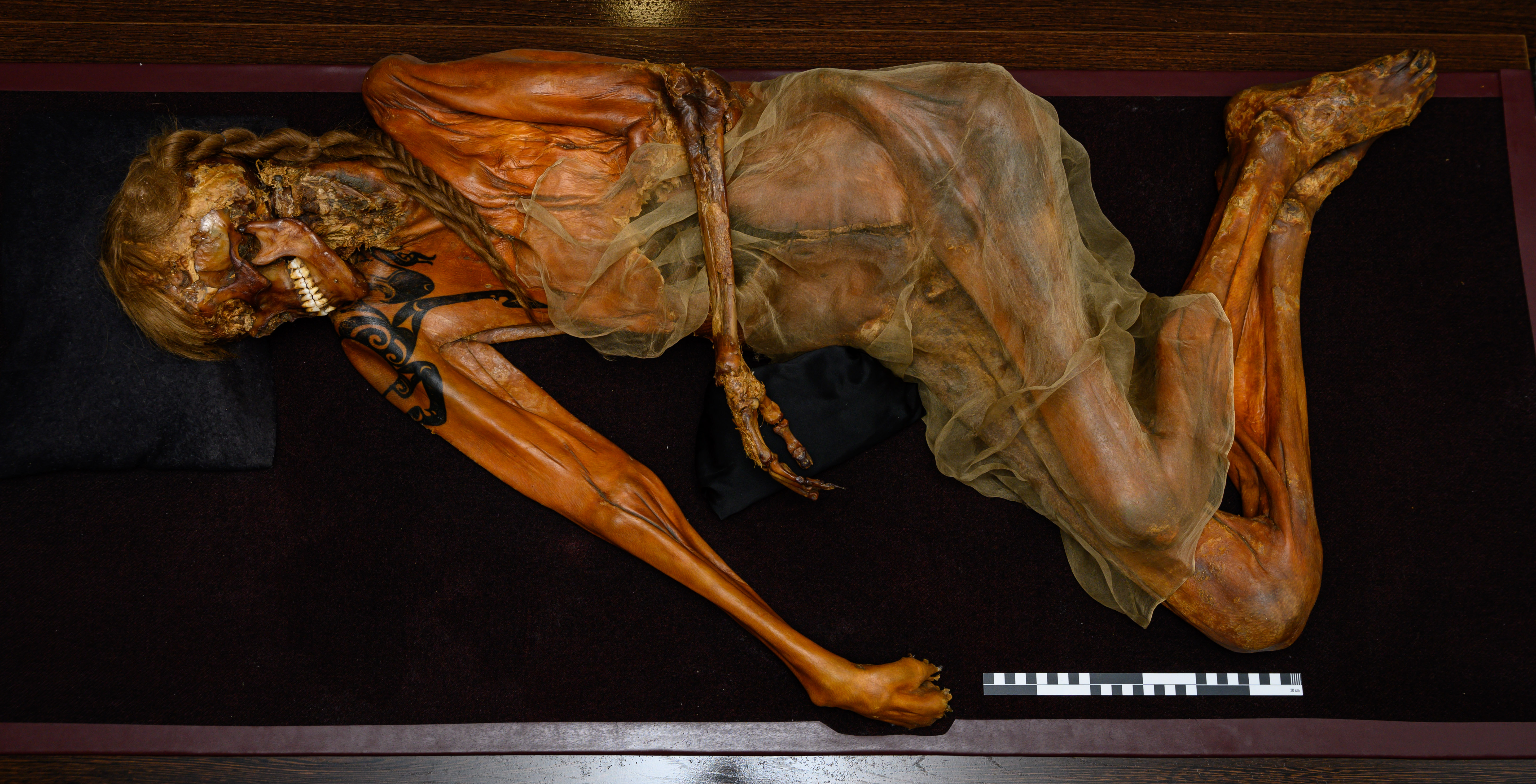 Männliche Mumie, auf der Seite liegend. Tätowierungen am Arm sind zu erkennen, auch Reste von hellen Haaren am Schädel